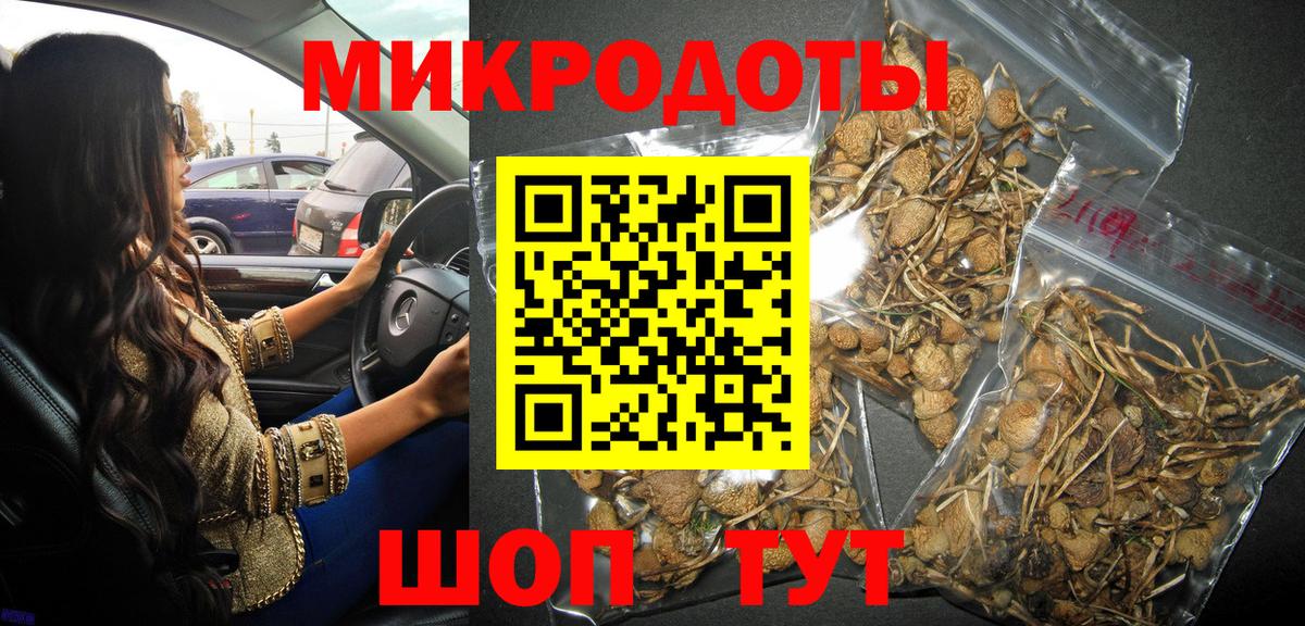Киров  Псилоцибиновые грибы прущие грибы  Вход с VPN 